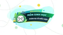 Phản xạ có điều kiện