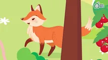Vocabulary box, fox, ox