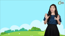 Tổng quan về chuyên đề số học lớp 2